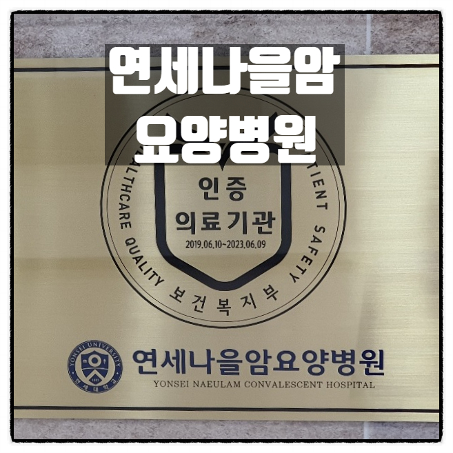 연세나을암요양병원 항암면역치료 부작용 케어전문 일산 국립암센터와 가까운 암요양병원 소개 연세나을암요양병원 항암면역치료 부작용 케어전문 일산 국립암센터와 가까운 암요양병원 소개