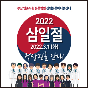 2022년 삼일절 정상진료 (부산 공휴일 국경일 동물병원, 센텀동물메디컬센터, 수영점, 24시 연산점)