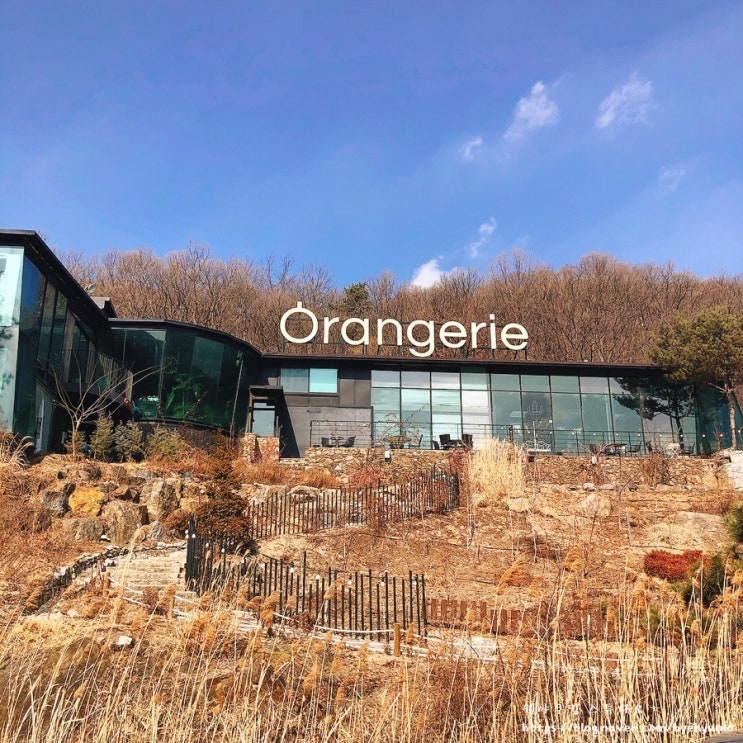  [양주 카페]오랑주리 (식물원 카페, 힐링, 마장호수 뷰)