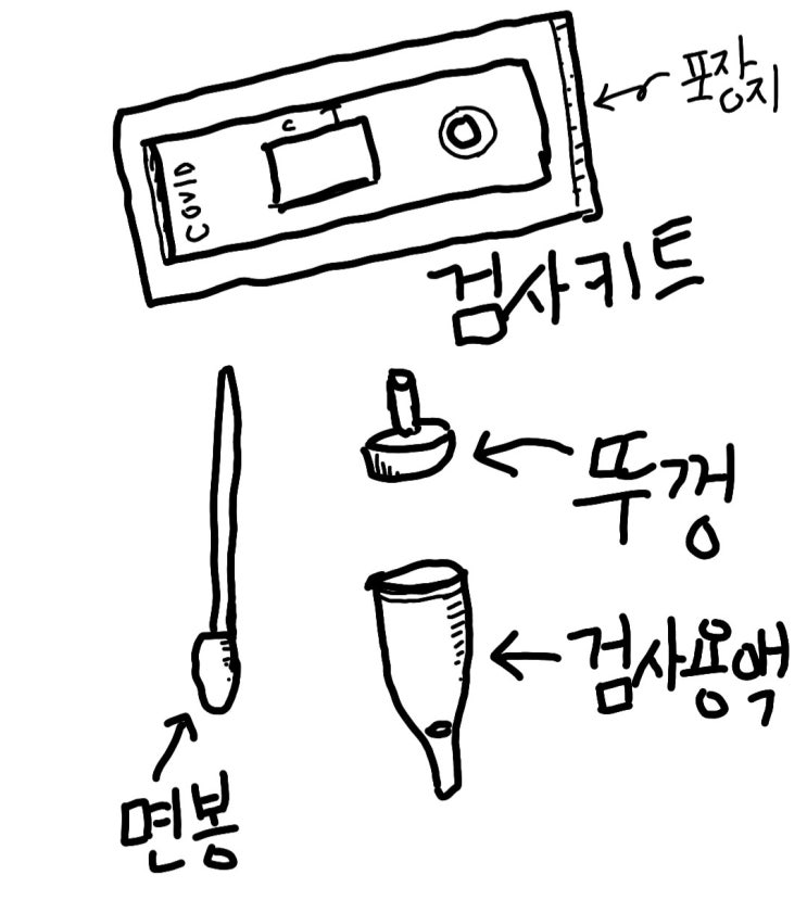  코로나 신속항원 검사