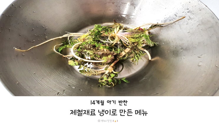  14개월 아기 반찬 냉이로 만드는 순삭 메뉴, 제철재료로 아기 영양 만점