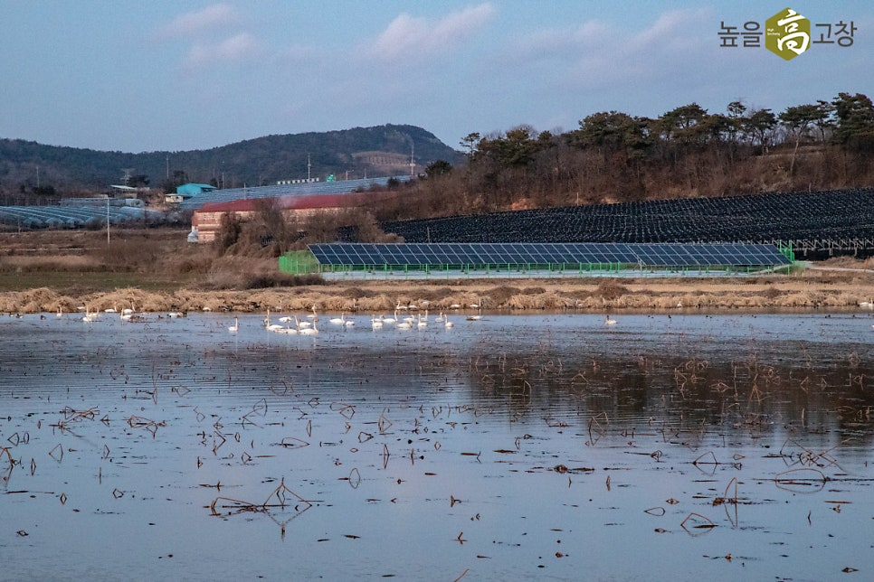 Namsanje photo 5