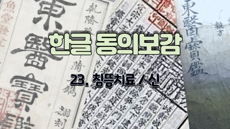  23. 침뜸치료[鍼灸法]/신 (내경편 신)