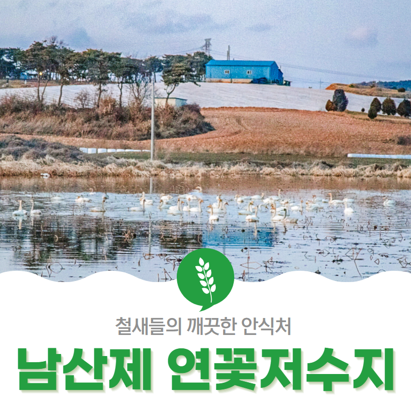 Namsanje photo 2