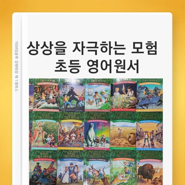 [원주태장 YBM잉글루] 초등학생이 읽기 좋은 영어독서 챕터북 / 상상을 자극하는 시간여행 매직트리하우스