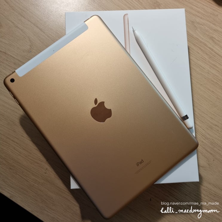  디자인을 하려면 어떤 아이패드를? 이것으로도 충분해요 iPad8세대 찐사용자 후기