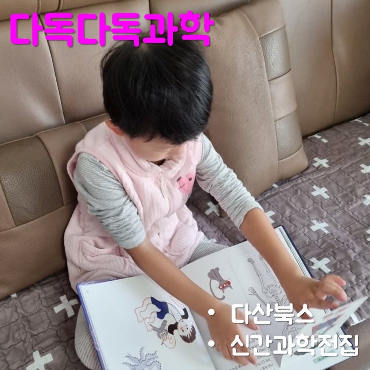  다산북스 다독다독과학 신간전집으로 사고력 키우기