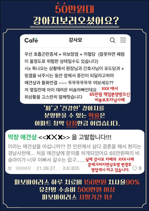 금산강아지분양 3대질병 평생보장 가능한 요기독!