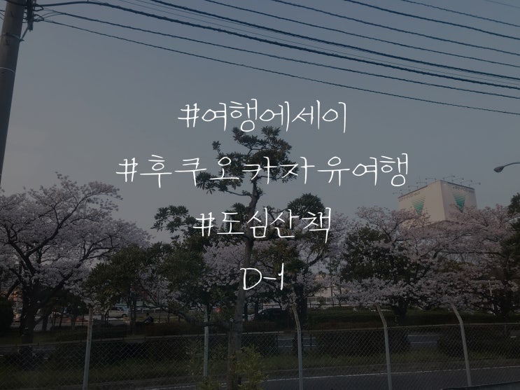  여행 에세이 일본 후쿠오카 자유여행 도심산책
