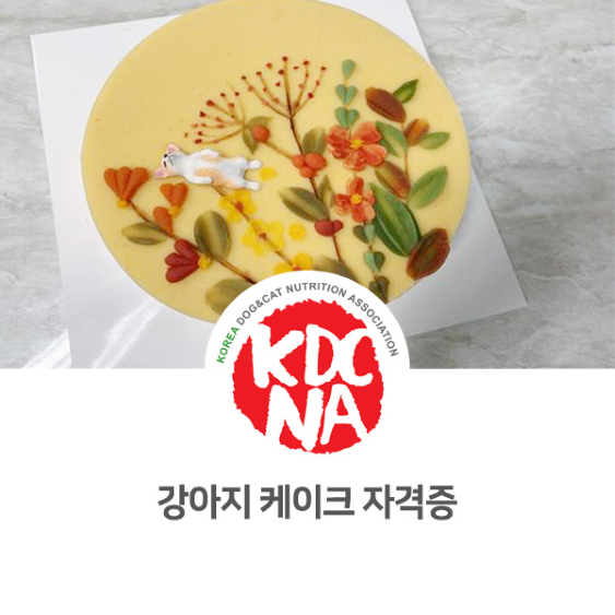 반려동물 펫푸드 자격증 특강 [한국반려동물영양협회/펫베이커리/강아지케이크/펫푸드자격증/케이크조색수업/원데이클래스/전주/광주/나주/여수/목포_993]