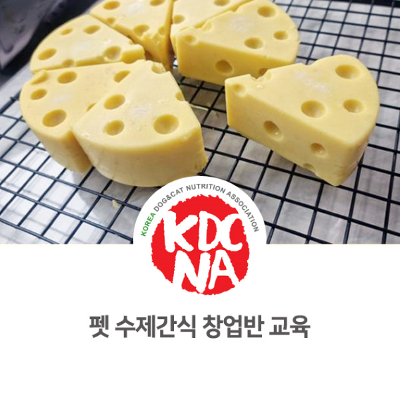 애견 수제간식 창업반 실습 교육 후기 [한국반려동물영양협회/정유경/펫푸드자격증/펫베이커리/강아지간식만들기/익산/전주/광주/천안/당진_995]