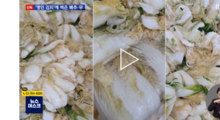 한성식품 김치, 변색된 배추에 곰팡이까지 '충격 영상'