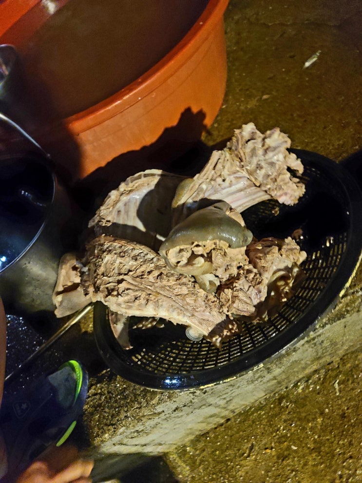  여행) 고흥 친구외가집으로 여행
