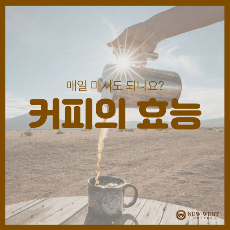  커피의 효능, 매일 마셔도 되나요?