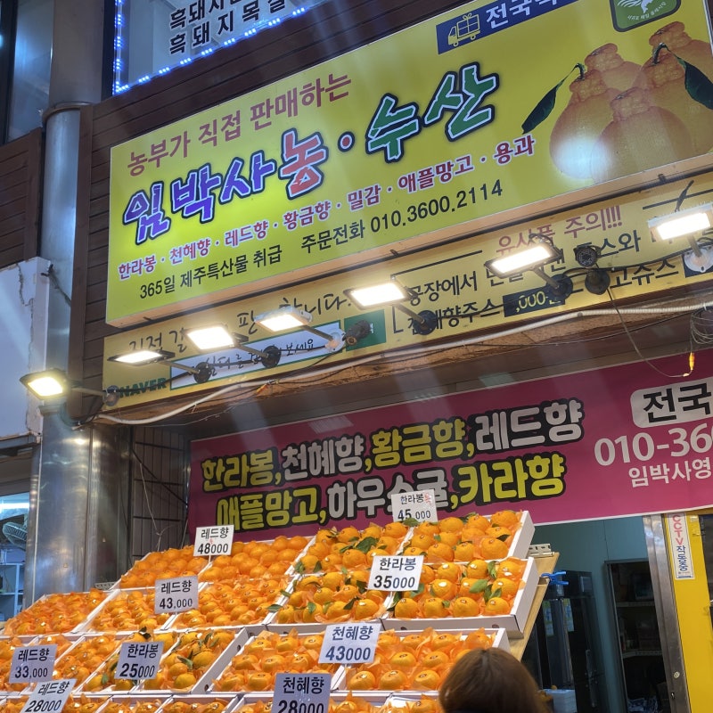 제주신혼여행:: 제주에 왔으면 귤을 먹야지! 제주/올레시장 임박사농수산