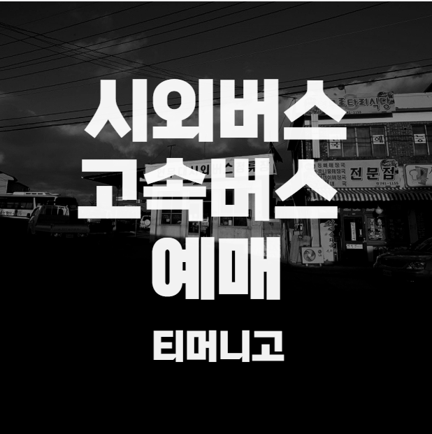  명절에 걱정없이 시외버스/ 고속버스 예매하기 (ft.티머니고)