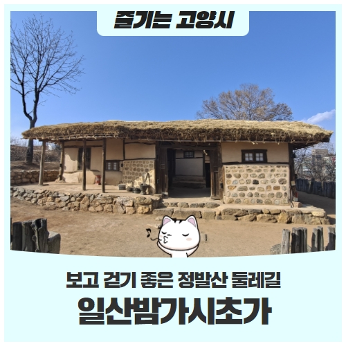 초가 지붕을 새로 얹은 밤가시초가 보고, 걷기 좋은 정발산 둘레길 산책 초가 지붕을 새로 얹은 밤가시초가 보고, 걷기 좋은 정발산 둘레길 산책