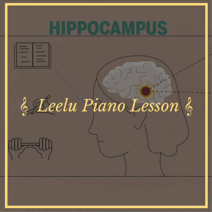   대구피아노레슨 | Ted 강연 : 과학 | Leelu Piano Lesson 