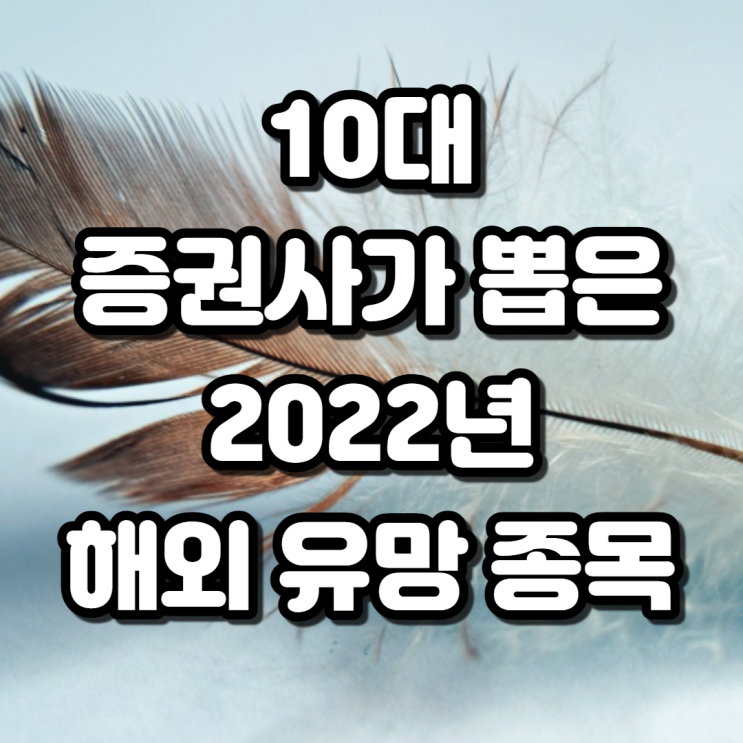  10대 증권사가 뽑은 2022년 해외 유망 종목