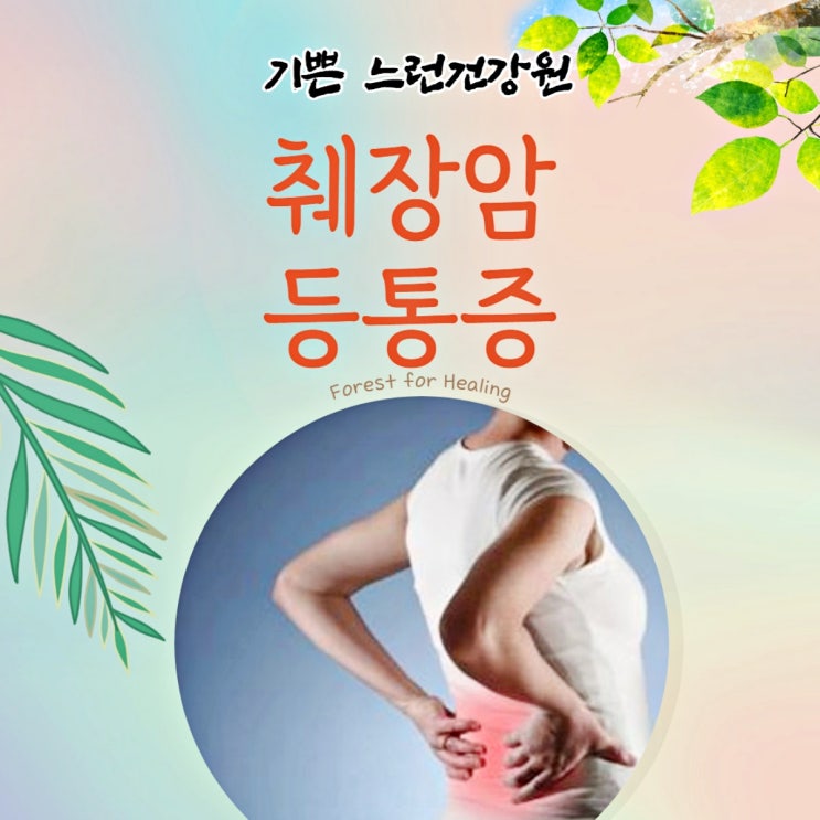  췌장암 등통증 위치와 생기는 원인