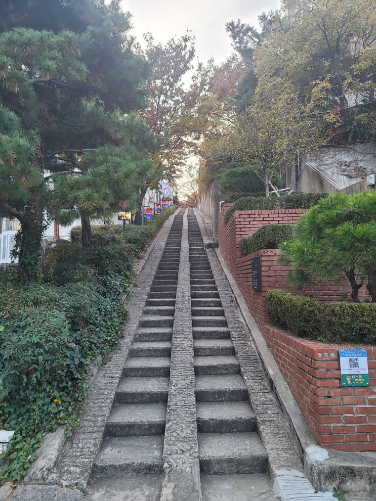  3.1 운동계단 (90계단) 대구 근대 골목 투어