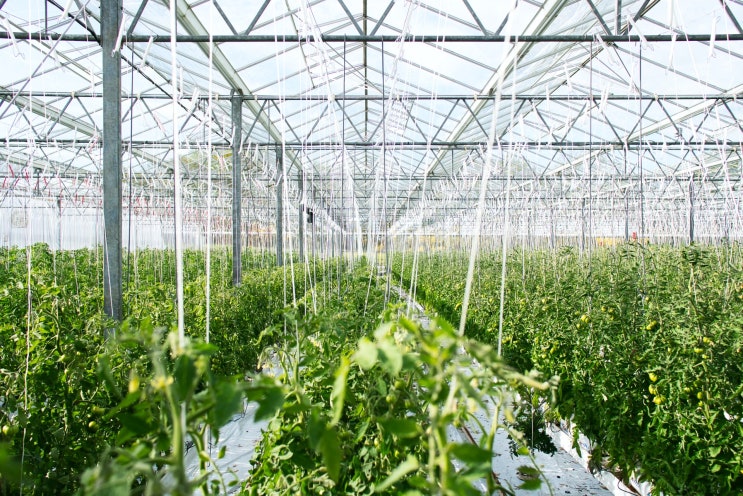 정밀농업기사 (Precision Agriculture Technicians) 정밀농업기사 (Precision Agriculture Technicians)