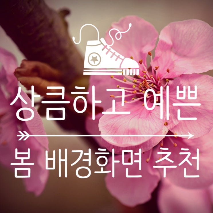  상큼하고 예쁜 봄 배경화면 구경하고 가져 가세요.