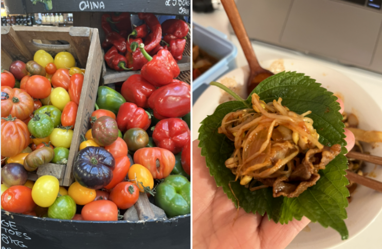  [영국워킹홀리데이] +166 대패 구해서 콩나물 불고기