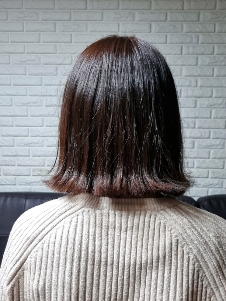  능동미용실 담우헤어에서 단발 태슬컷 하고 뿌리염색과 클리닉까지~