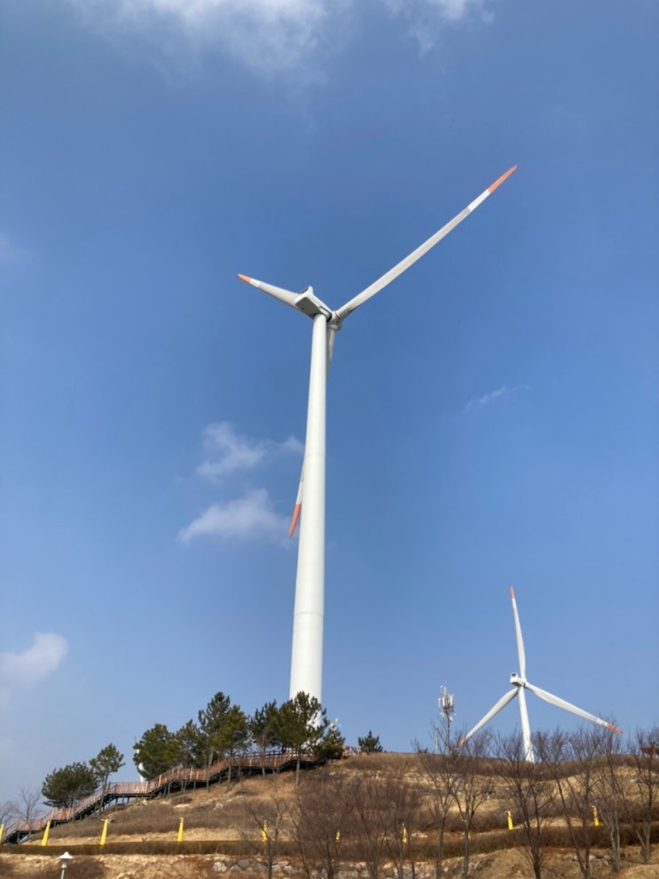 영덕 풍력발전단지 신재생에너지전시관 방문후기, 영덕 울진대게빵 먹어보고 옴 영덕 풍력발전단지 신재생에너지전시관 방문후기, 영덕 울진대게빵 먹어보고 옴