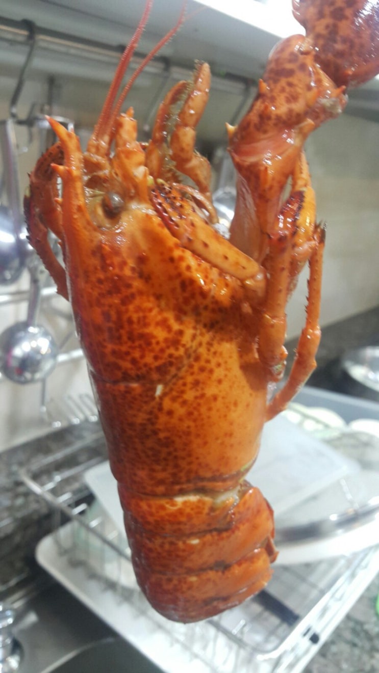  마켓컬리 | 랍스터 황제어묵탕 . 오뎅탕끓이기