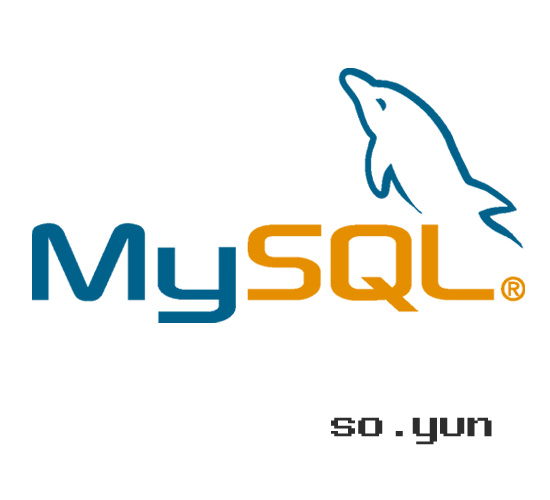  [MySQL] Public Key Retrieval is not allowed 오류