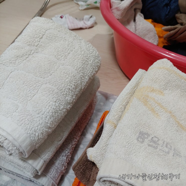  [1년 전 오늘] 늦은밤 배추전