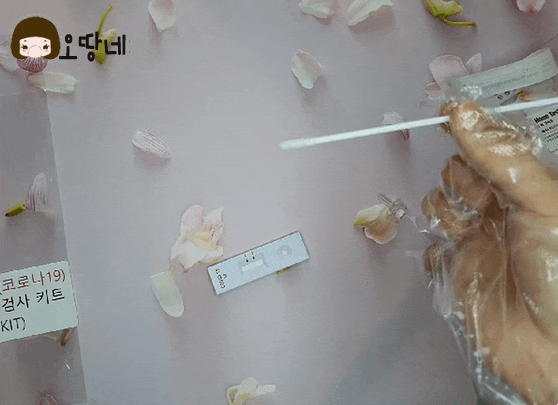  코로나자가검사키트 약국 가격 음성 양성 사용법 은