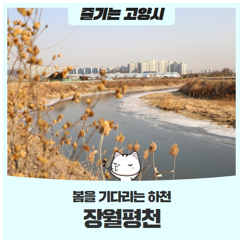 봄을 기다리는 '장월평천' 봄을 기다리는 '장월평천'