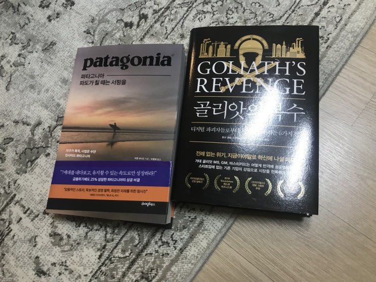  Why Patagonia?