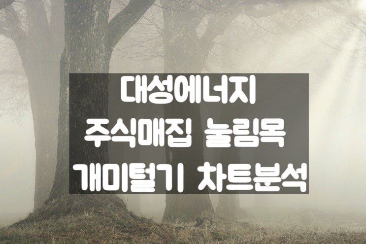  대성에너지 주가 주식 매집 눌림목 개미털기 차트 분석