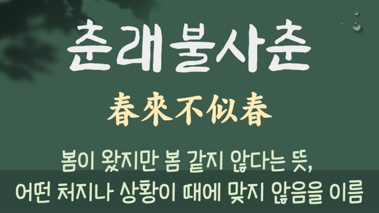  춘래불사춘 봄이 왔는데 봄같지 않은