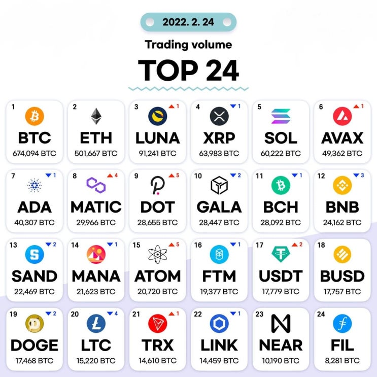 2월24일 거래량 TOP 24 및 투자 목록