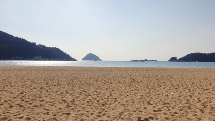  러시아와 우크라이나의 전쟁 이유