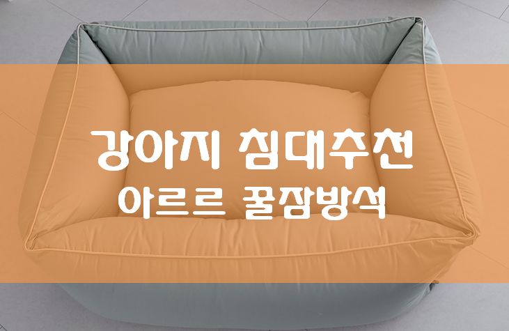  강아지 침대 추천, 아르르 꿀잠방석
