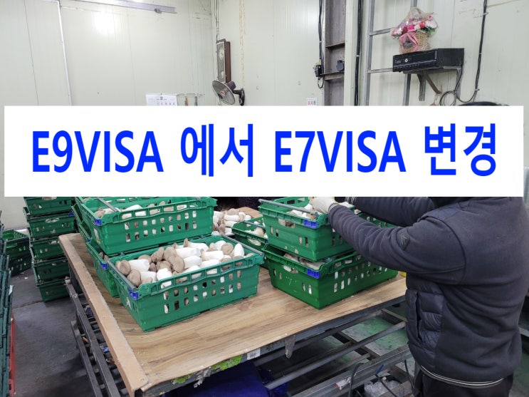 e9_e10_h2비자에서 e7비자(점수제) 변경(Change e9visa to e7visa)