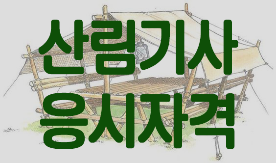  산림기사 응시자격 경력·학위 없어도 준비하는 방법