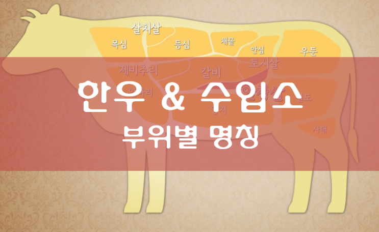  소고기 부위별 명칭 - 한우랑 수입소랑 왜 다르지?