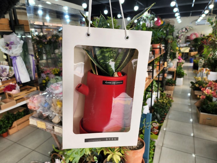  [석사동꽃집/강원대꽃집] 전국꽃배달서비스가 가능한 춘천꽃집