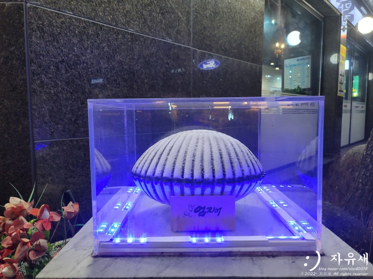  강릉 엄지네포장마차에서 꼬막무침비빔밥 포장했어요
