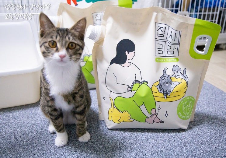  집사공감모래, 고양이 사막화 방지 벤토나이트