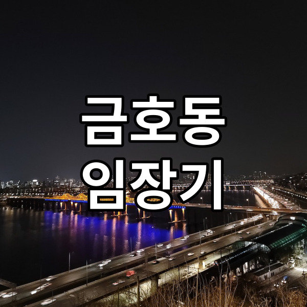  성동구 금호역 아파트, 지하철 근처 부동산 실제 임장기, 금호동 맛집 카페 술집, 금남시장, 달맞이봉공원