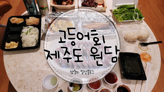  내돈내산) 제주도 고등어회 맛집 - 원담