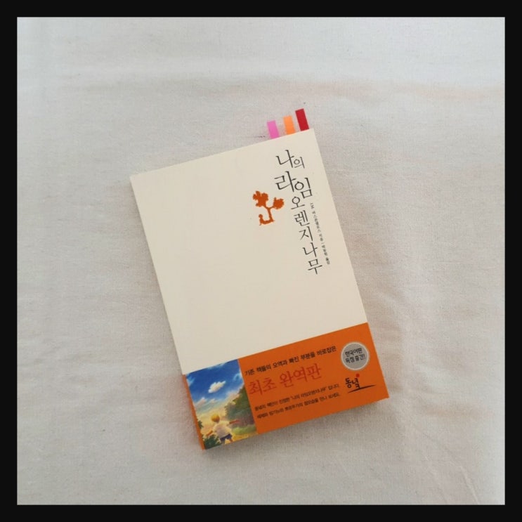  나의 라임 오렌지나무